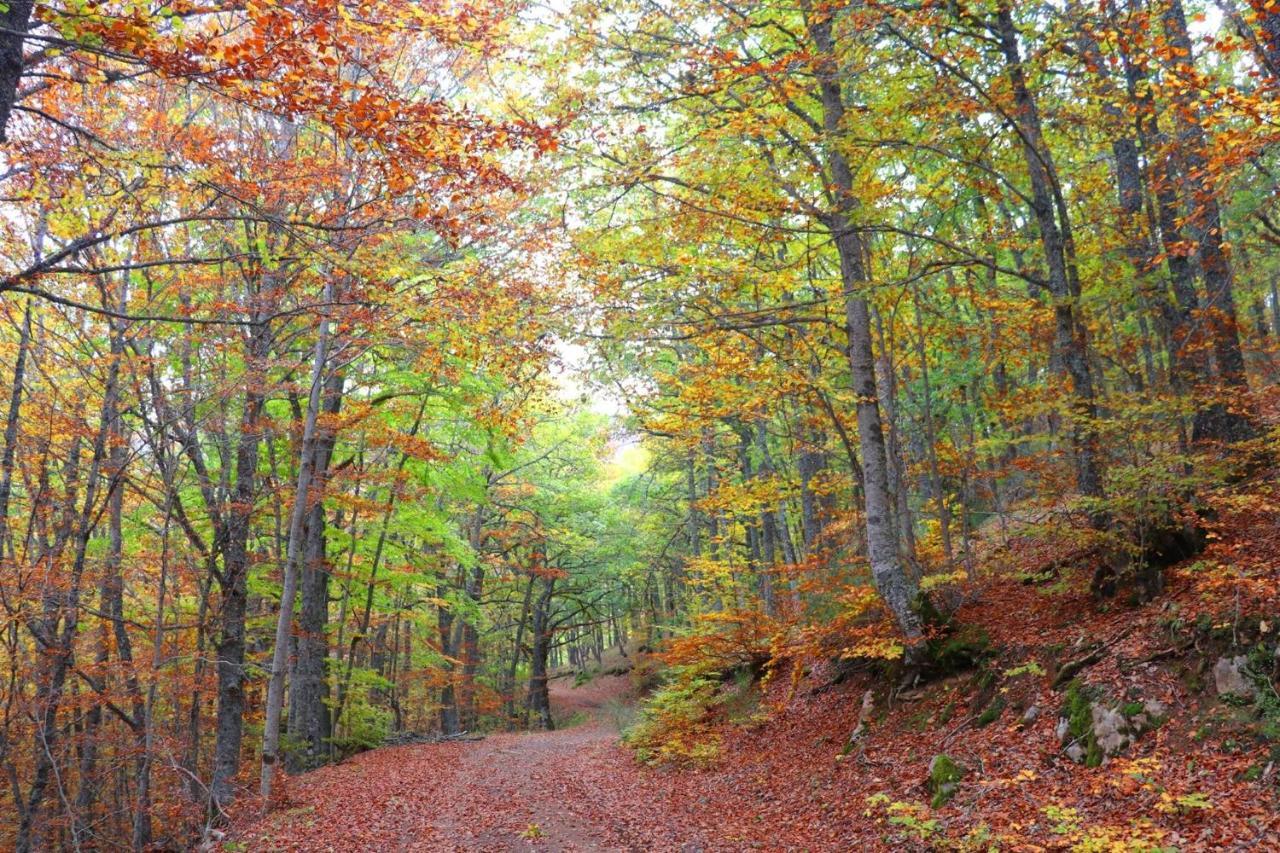 El Rincon De Golobar En Branosera Bagian luar foto